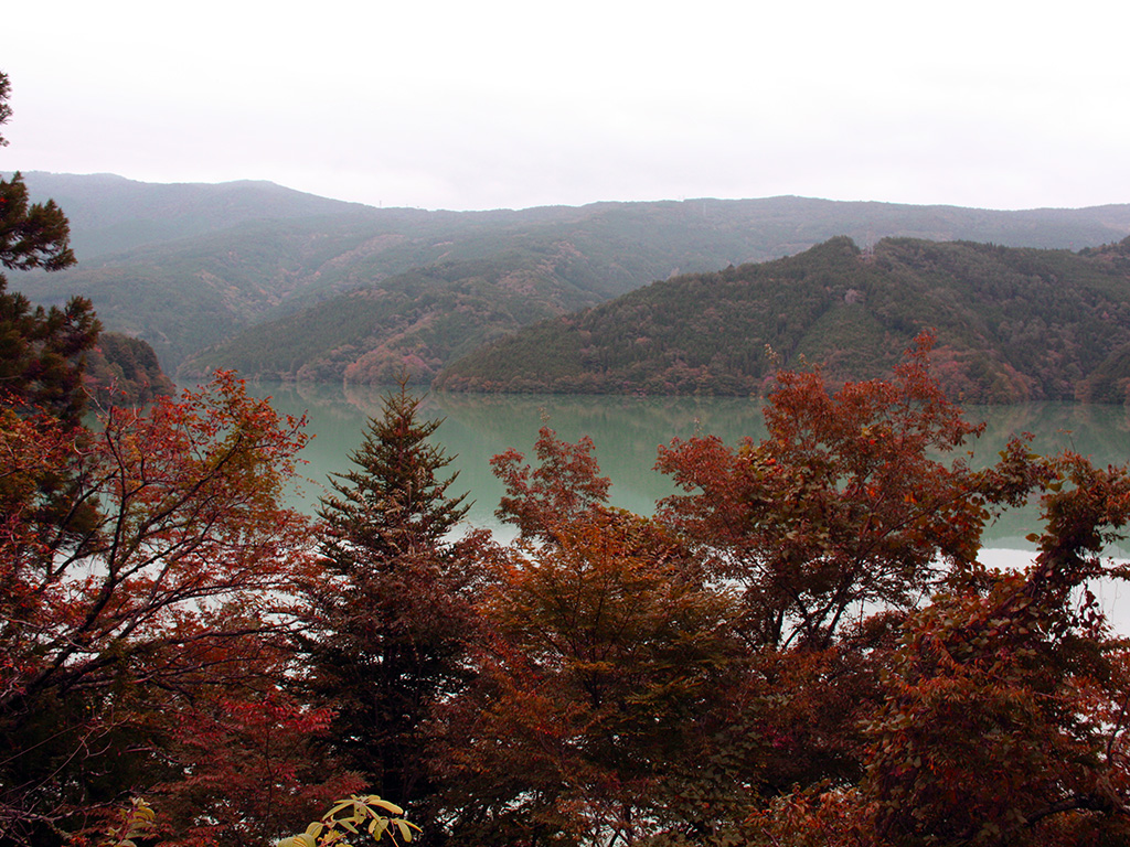 井川湖周辺の紅葉