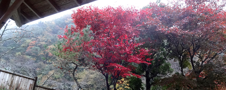口坂本温泉浴場