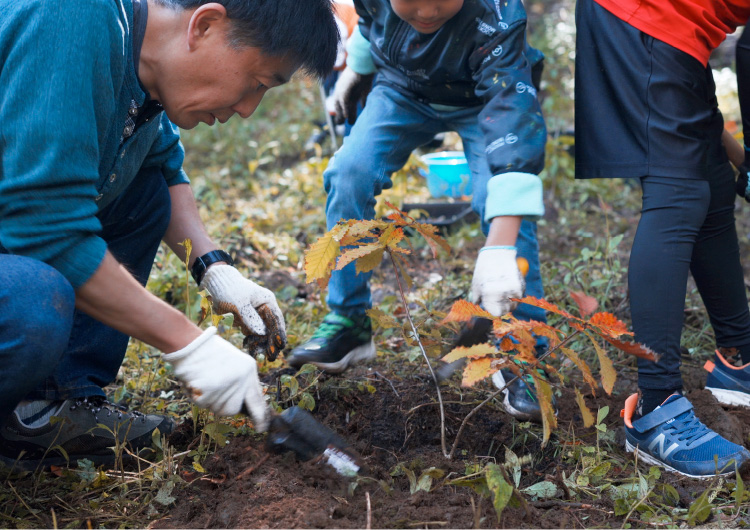 ミズナラの苗を植樹