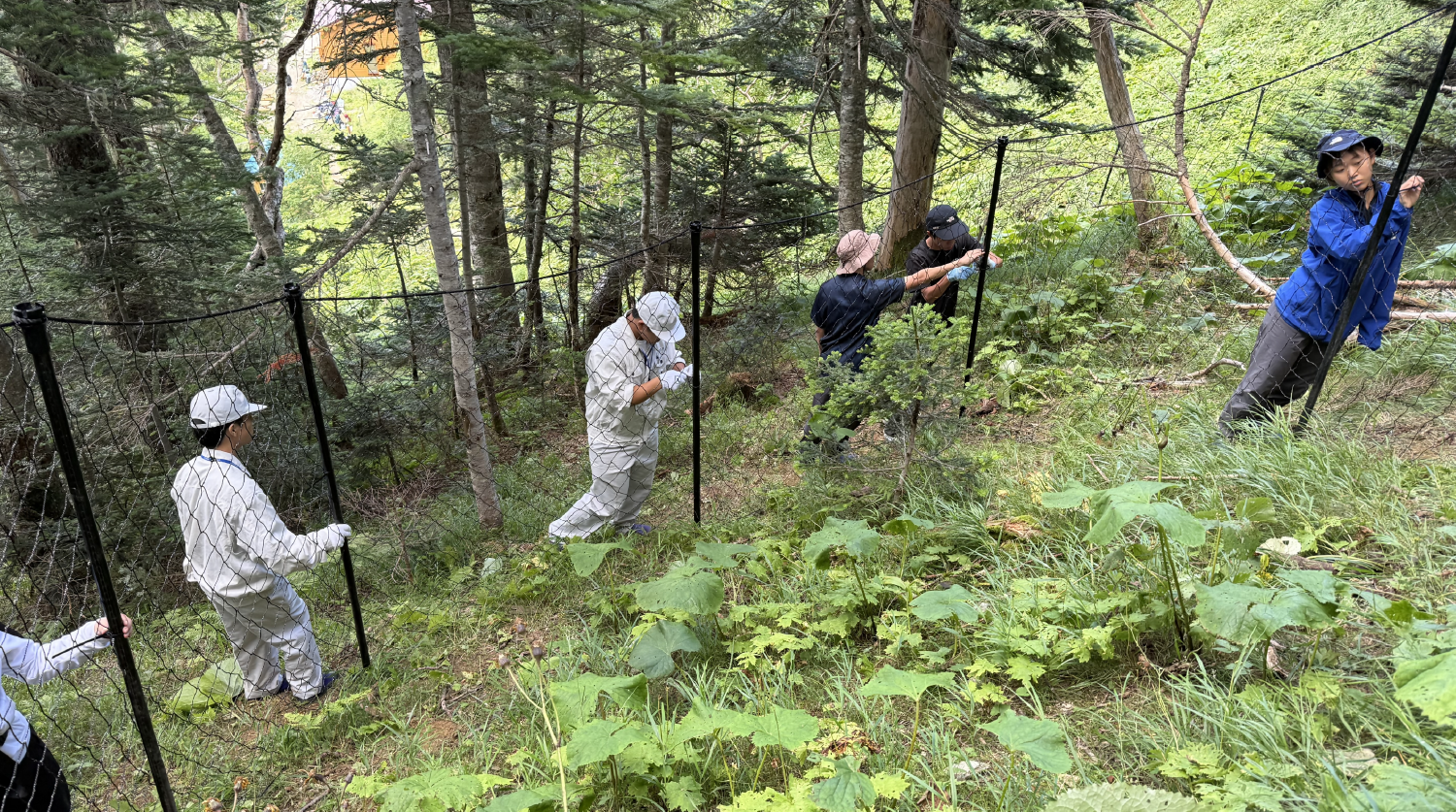 千枚小屋周辺で防鹿柵を設置する参加者
