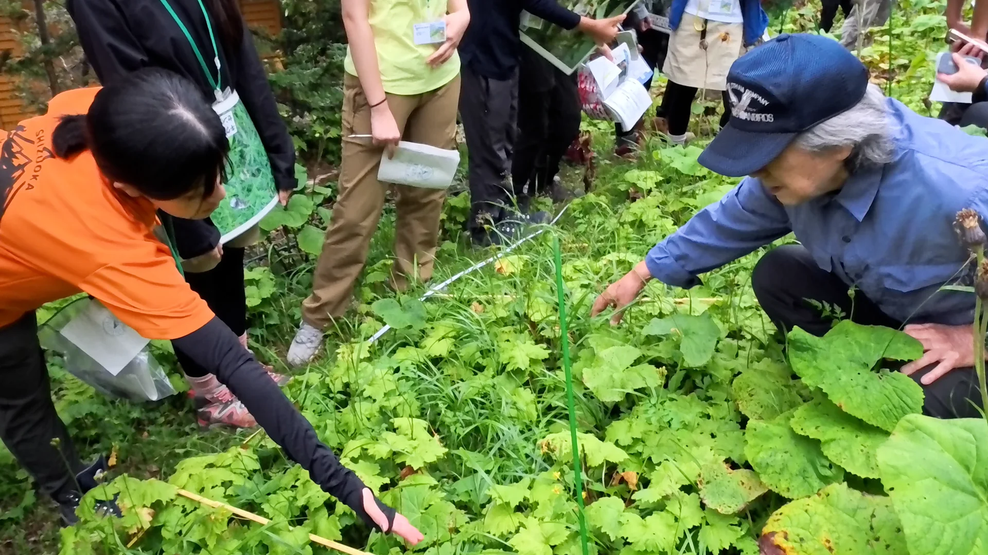 コドラート内の植生を解説する増澤教授
