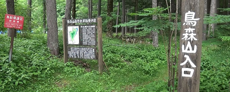 畑薙第一ダム→椹島+鳥森山