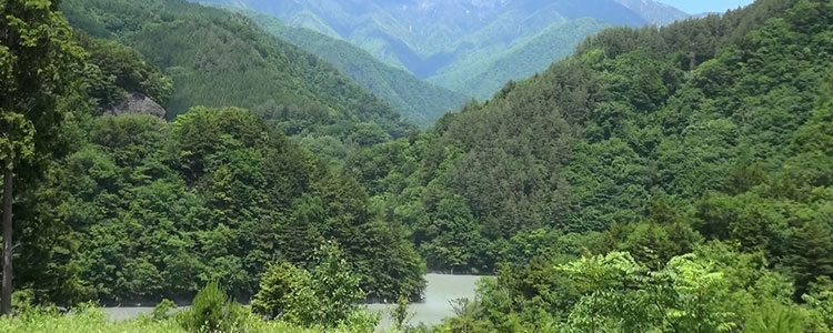 白樺荘 温泉