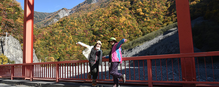 南アルプス女子旅レポート 井川の紅葉の風景~畑薙大吊橋から椹島ロッヂ