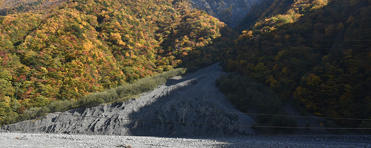 南アルプス女子旅レポート 井川の紅葉の風景~畑薙大吊橋から椹島ロッヂ