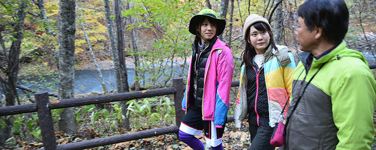 南アルプス女子旅レポート 井川の紅葉の風景～二軒小屋ロッヂ周辺