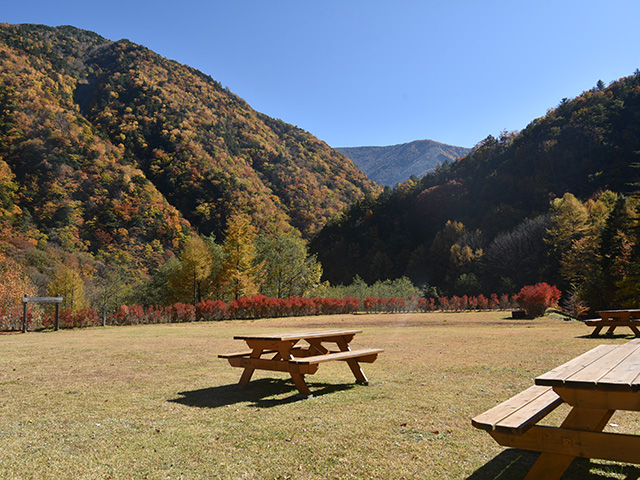 南アルプス女子旅レポート 井川の紅葉の風景～キャンプ場